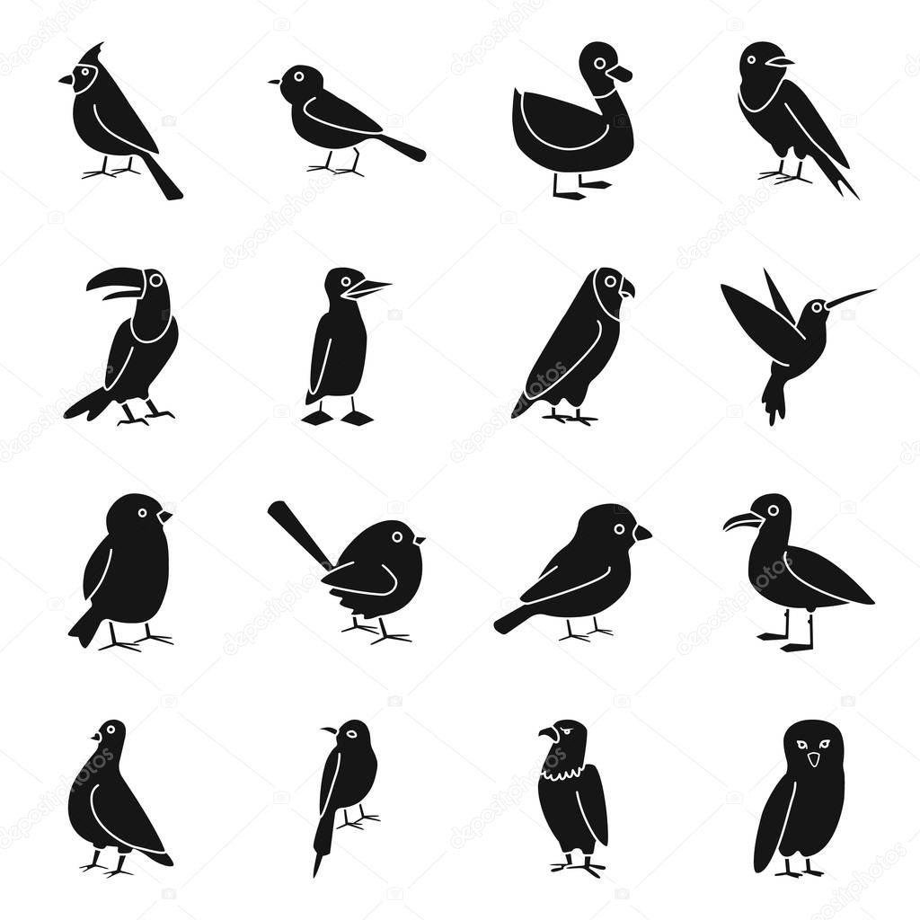 Isolated object of animal and wild symbol. Collection of animal and plumage stock vector illustration.