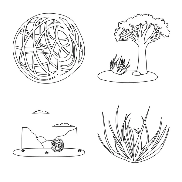 Objeto isolado de deserto e símbolo do Texas. Conjunto de deserto e ícone de vetor de pastagem para estoque . — Vetor de Stock