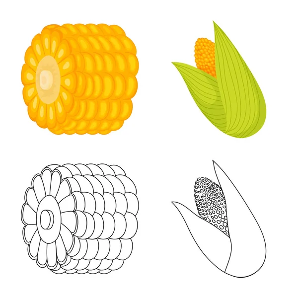 Oggetto isolato di campo di grano e logo vegetale. Raccolta di illustrazione vettoriale del campo di grano e dello stock vegetariano . — Vettoriale Stock