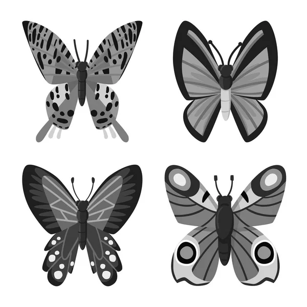 Vektorillustration von Fliege und Insektenlogo. Set von Fliege und botanischem Vektorsymbol für Aktien. — Stockvektor