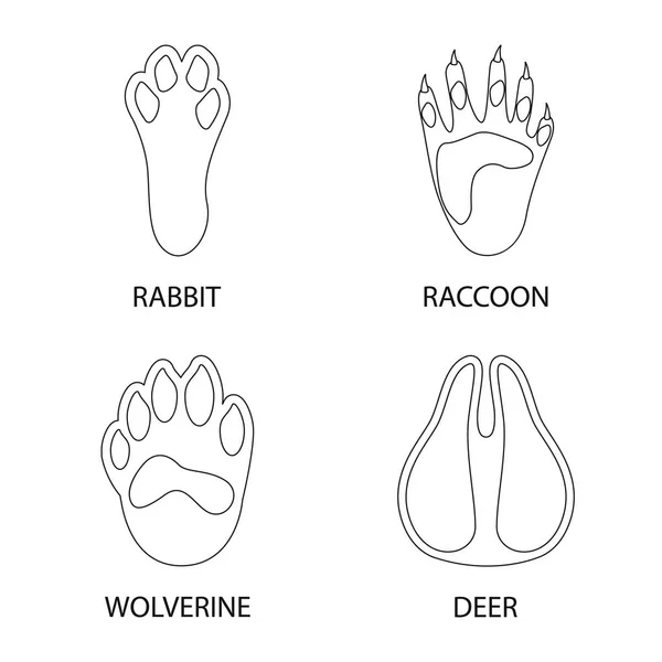 Vector illustration of foot and footprint symbol. Set of foot and trace stock vector illustration. — Stock Vector