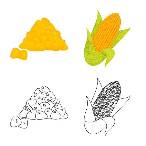 Oggetto isolato di campo di grano e simbolo vegetale. Raccolta di illustrazione vettoriale del campo di grano e dello stock vegetariano . — Vettoriale Stock
