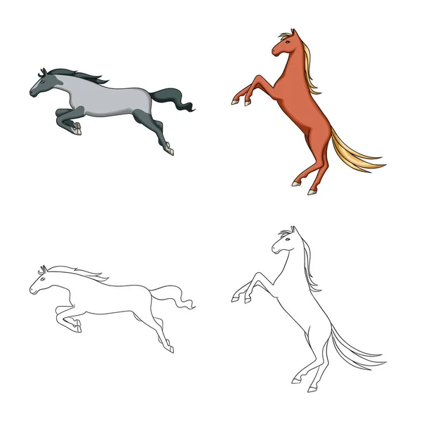 Ilustração vetorial de raça e signo equestre. Conjunto de raça e égua vetor ícone para estoque . —  Vetores de Stock