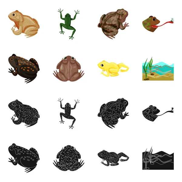 Diseño vectorial de la fauna y el logotipo del pantano. Conjunto de vida silvestre y reptil vector icono para stock . — Archivo Imágenes Vectoriales