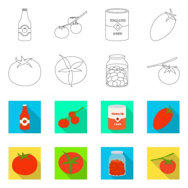 Sebze ve lezzetli sembolü vektör Illustration. Stok için sebze ve doğal vektör simgesi seti.