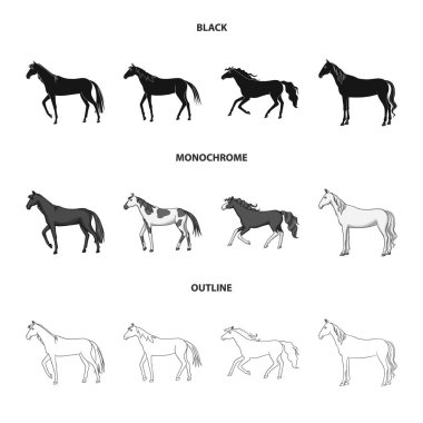 Cins ve binicilik sembolü izole nesne. Web için cins ve mare stok sembolü koleksiyonu.