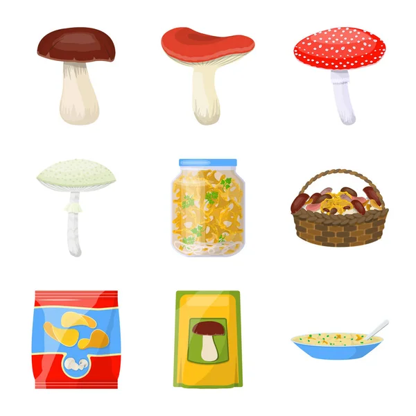Projeto vetorial de fungo e logotipo da comida. Conjunto de fungo e símbolo de estoque fresco para web . — Vetor de Stock