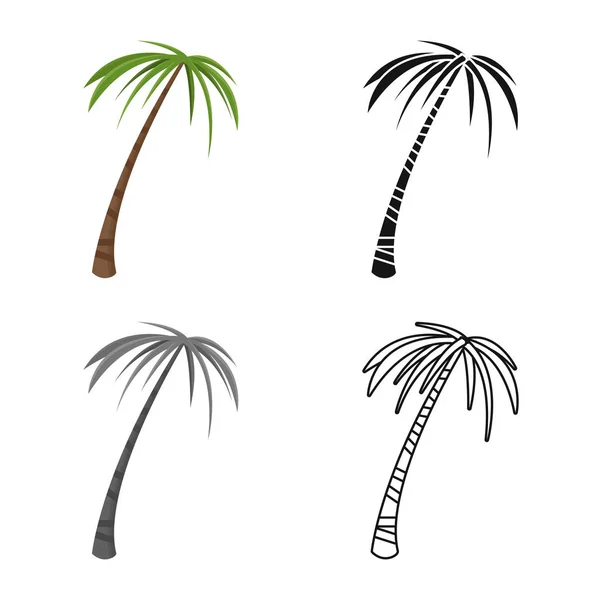 Vektorillustration der Handfläche und des hohen Symbols. Palm- und Kokosnuss-Symbol für das Netz. — Stockvektor