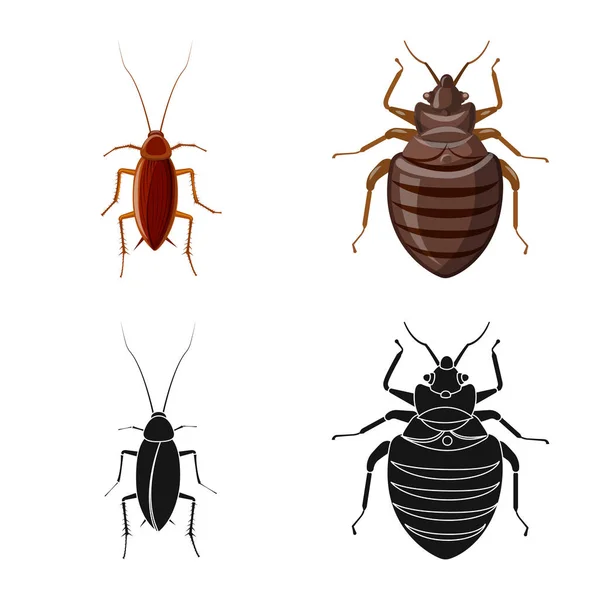 Ilustración vectorial del símbolo de insectos y moscas. Colección de insectos y vector de stock de elementos ilustración . — Vector de stock