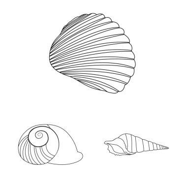 Egzotik ve deniz ürünleri logosu izole nesne. Stok için egzotik ve suvektör simgesi koleksiyonu.