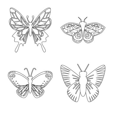 Sinek ve dekoratif işareti izole nesne. Sinek ve böcek stok vektör illüstrasyon koleksiyonu.