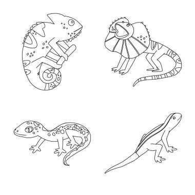 Yaban hayatı ve doğa logosu izole nesne. Stok için yaban hayatı ve egzotik vektör simgesi seti.