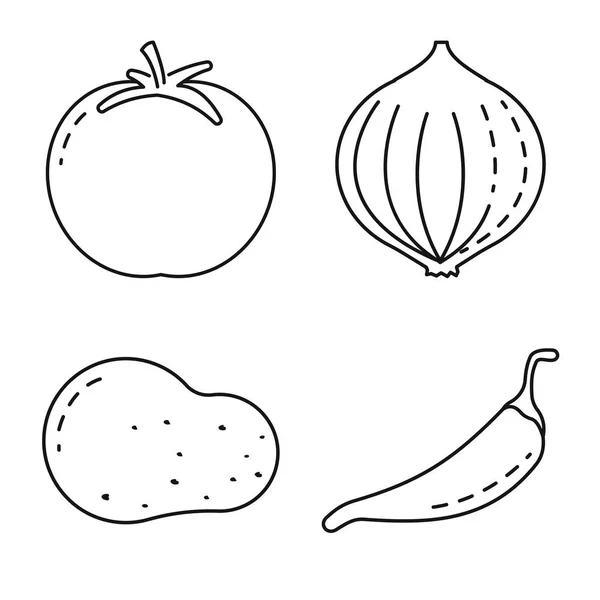 Ilustração vetorial do símbolo saudável e maduro. Coleta de ilustração vectorial saudável e colheita . — Vetor de Stock