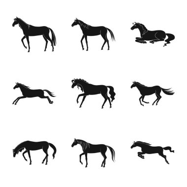 Fauna ve mare işareti vektör tasarımı. Stok için fauna ve aygır vektör simgesi seti.