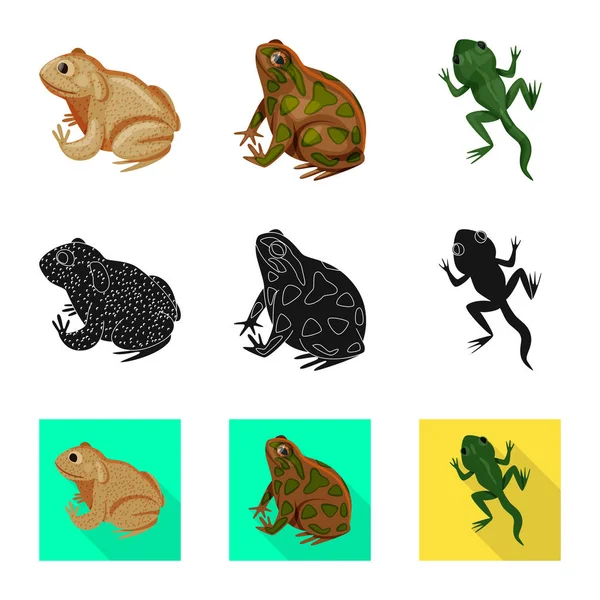 野生动物和沼泽图标的矢量设计。收集供网上使用的野生动物和爬行动物群符号. — 图库矢量图片