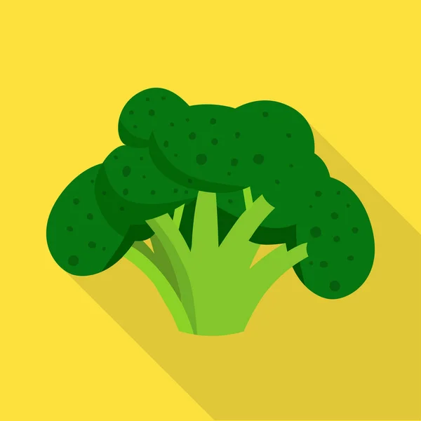 Projeto vetorial de brócolis e sinal de repolho. Coleta de brócolis e ingrediente estoque ilustração vetorial . — Vetor de Stock