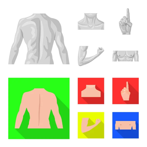 Vector ontwerp van menselijke en deel teken. Set van mens en vrouw aandelensymbool voor web. — Stockvector
