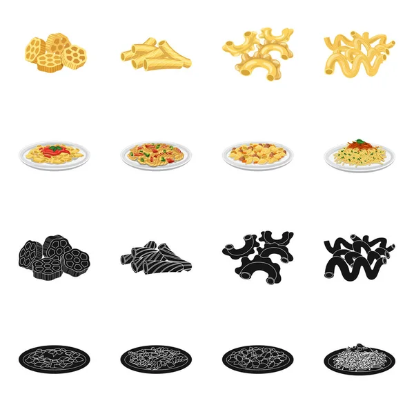 Design vetorial de pasta e logotipo de carboidratos. Coleção de macarrão e ícone vetorial macarrão para estoque . — Vetor de Stock