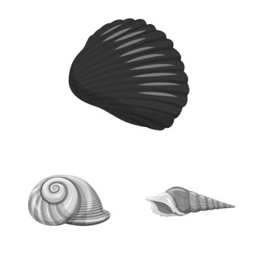 Akvaryum ve su sembolü vektör tasarımı. Akvaryum ve dekorasyon stok vektör illüstrasyon koleksiyonu.