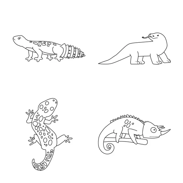 Vektorillustration von Wildtieren und Natursymbolen. Sammlung von Wildtieren und exotischen Vektorsymbolen für Aktien. — Stockvektor