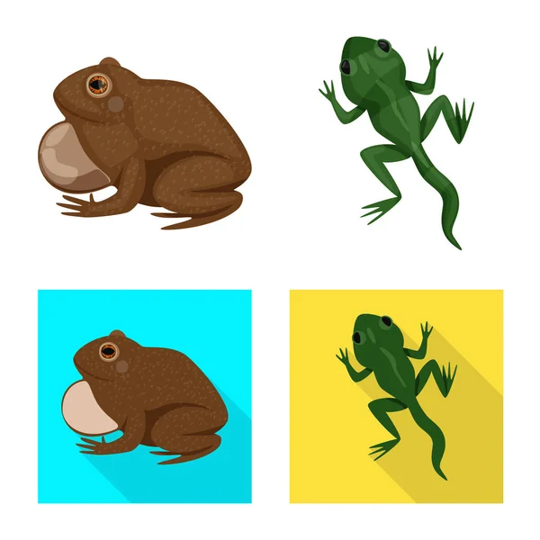 Vector design of wildlife and bog icon. Set of wildlife and reptile stock vector illustration. — Stock Vector