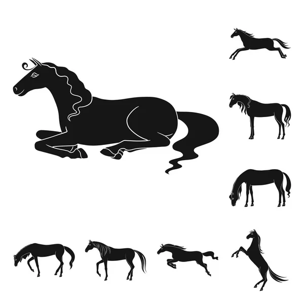 Vector illustration of fauna and mare icon. Collection of fauna and stallion stock symbol for web. — Stock Vector