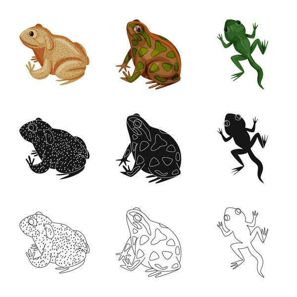 Diseño vectorial de vida silvestre y pantano icono. Conjunto de vida silvestre y reptil stock vector ilustración . — Archivo Imágenes Vectoriales