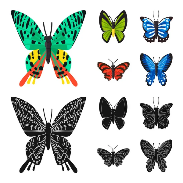 Vector illustratie van exotische en botanische logo. Collectie van exotische en tropen vector pictogram voor voorraad. — Stockvector