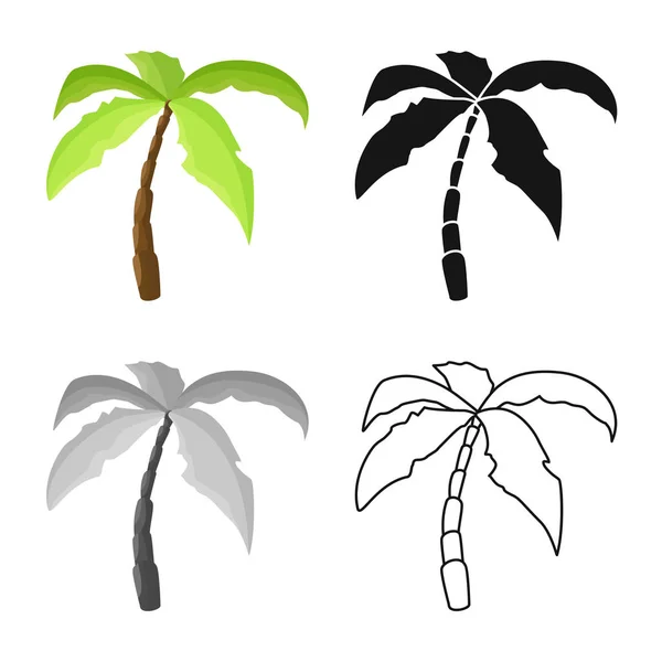 Illustration vectorielle du logo palmier et noix de coco. Ensemble de palmiers et d'icônes vectorielles hawaïennes pour stock . — Image vectorielle