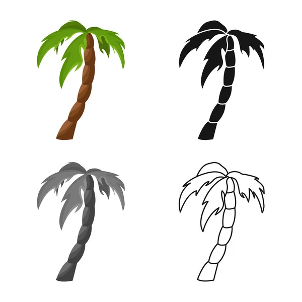 Vector illustratie van palm en hout logo. Set van palm en hoge voorraad vector illustratie. — Stockvector