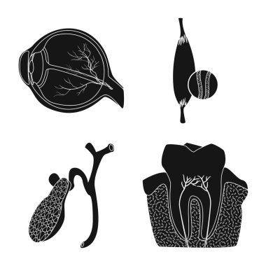 Vücut ve insan sembolünün vektör tasarımı. Ağ için vücut ve tıbbi stok sembolü.