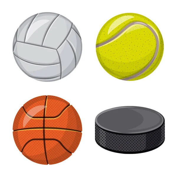Vektorová design sport a míč symbolu. Kolekce sport a sportovní vektorové ikony pro stock. — Stockový vektor