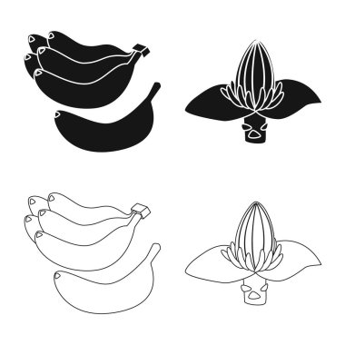 Doğal ve vejetaryen sembolü vektör tasarımı. Doğal ve yeme hisse senedi vektör çizim topluluğu.