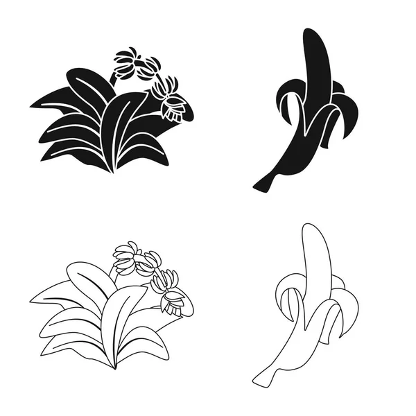 Vektorillustration av naturliga och vegetarisk logotyp. Uppsättning av naturliga och äta lager vektorillustration. — Stock vektor