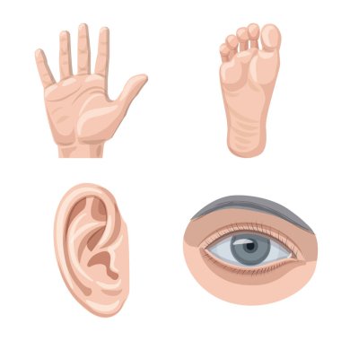 İnsan ve yarım logo vektör Illustration. Kadın hisse senedi vektör çizim ve insan kümesi.