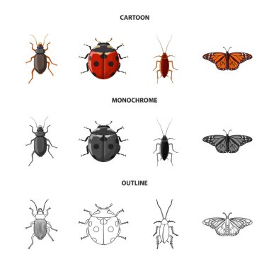 Böcek ve sinek logosu yalıtılmış nesne. Böcek ve öğe hisse senedi vektör çizim topluluğu.