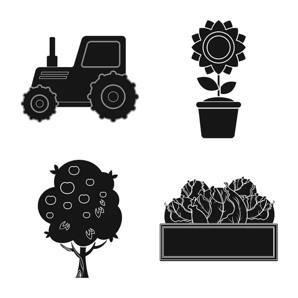Progettazione vettoriale di fattoria e agricoltura segno. Set di fattoria e stock di piante simbolo per il web . — Vettoriale Stock