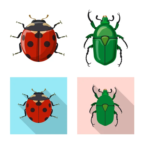 Diseño vectorial del símbolo de insectos y moscas. Conjunto de icono de vector de insectos y elementos para stock . — Vector de stock