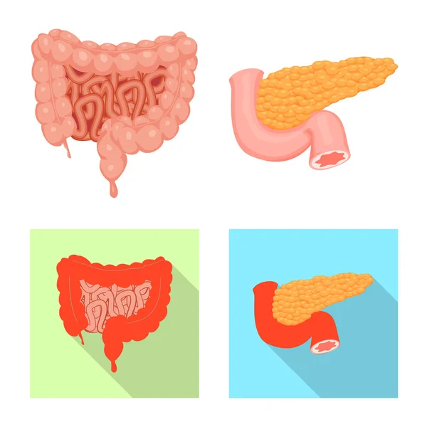 Illustration vectorielle du corps et icône humaine. Ensemble d'icône de corps et de vecteur médical pour stock . — Image vectorielle