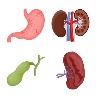 Vücut ve insan simge vektör tasarımı. Vücut ve web için tıbbi hisse senedi simgesi toplama.