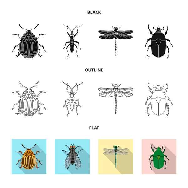Diseño vectorial del símbolo de insectos y moscas. Colección de insectos y elemento vector icono para stock . — Vector de stock