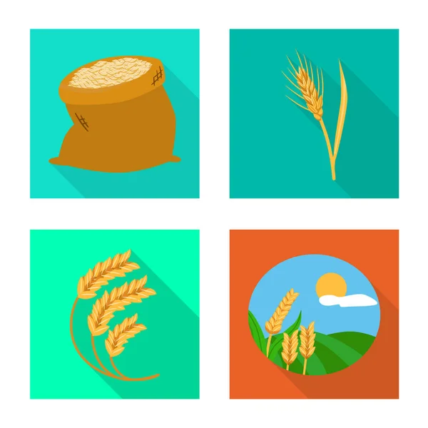 Illustration vectorielle du grain et icône de récolte. Collecte d'illustration vectorielle des stocks de céréales et d'agriculture . — Image vectorielle