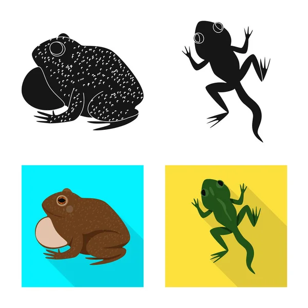 Vektordesign von Wildtieren und Moorschildern. Sammlung von Tier- und Reptilienbeständen. — Stockvektor