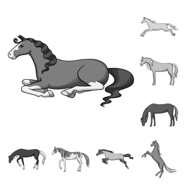 Objet isolé de la ferme et le symbole de l'équitation. Collection d'icône vectorielle agricole et équestre pour le stock . — Image vectorielle