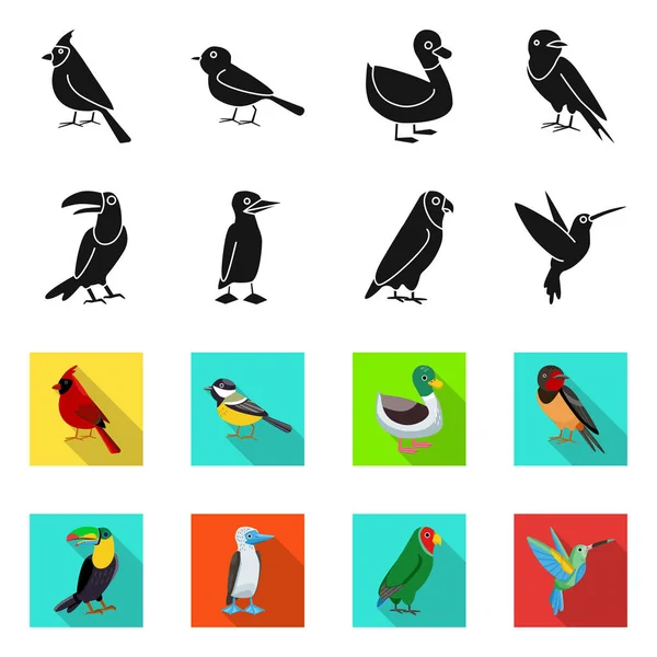 Diseño vectorial de signo animal y salvaje. Conjunto de ilustración vectorial animal y natural . — Vector de stock