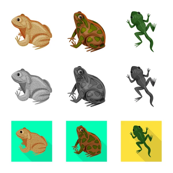 Vektori suunnittelu villieläinten ja suo merkki. Kokoelma luonnonvaraisten eläinten ja matelijoiden kannan symboli web . — vektorikuva