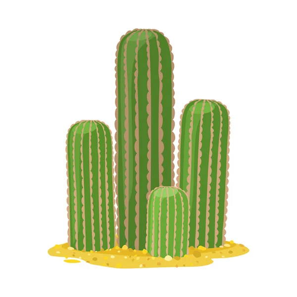 Conception vectorielle de cactus et signe de jardin. Graphique de l'illustration vectorielle du cactus et du stock botanique . — Image vectorielle