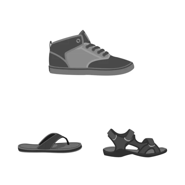 Illustration vectorielle du logo chaussure et chaussures. Ensemble d'illustration vectorielle de chaussure et de pied . — Image vectorielle