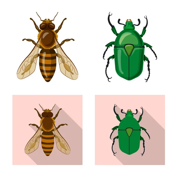 Vectorillustratie van insecten en vliegen logo. Collectie van insect en element aandelensymbool voor web. — Stockvector