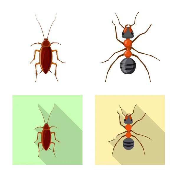 Vektordesign von Insekten- und Fliegensymbol. Set von Insekten- und Elementvektorsymbolen für Aktien. — Stockvektor